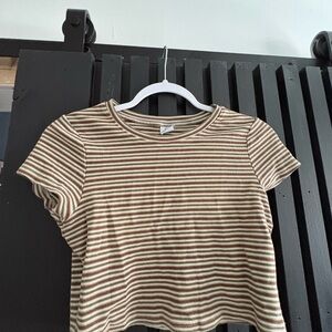 Striped Brown and Cream Crop Top